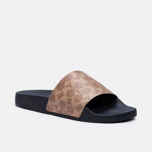 COACH slides
